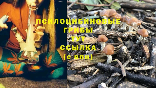 mix Медвежьегорск