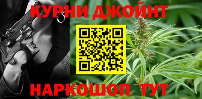 apvp Кингисепп