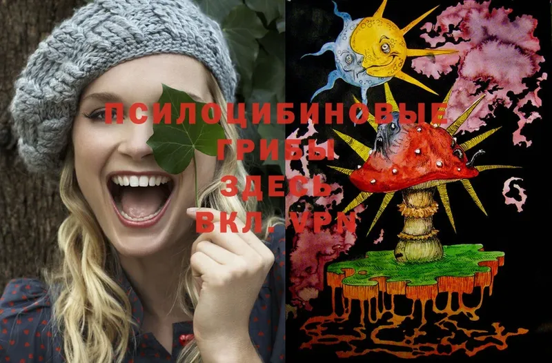 площадка телеграм  Мурино  Псилоцибиновые грибы Psilocybe 