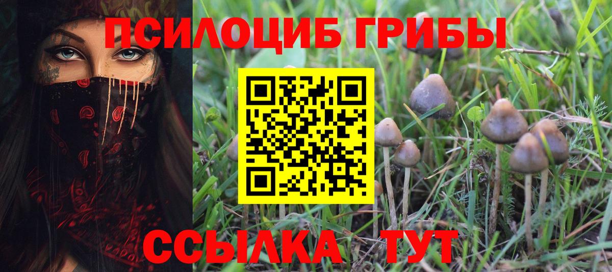 Псилоцибиновые грибы мухоморы  даркнет сайт  Мурино  Вход с VPN  Галлюциногенные грибы MAGIC MUSHROOMS 